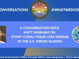 OIA Conversations - Protecting Coral Reefs Against the Stony Tissue Loss Coral Disease