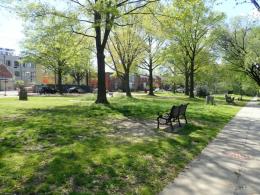 Grassy area of a park, with a bench in the middle of the image, a sidewalk along the lower right corner and the roadway along the park in the background.