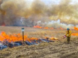 A wildland firefighter lights a prescribed fire in dry grass. Photo by USFWS.