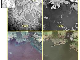 Assessing Salt Marsh Vulnerability with UVVR photo