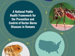 Image of Cover of CDC Report entitled, "A National Public Health Framework for the Prevention and Control of Vector-Borne Diseases in Humans​"