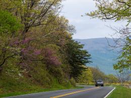 A car drives on a paved road surrounded by lush green trees, with green mountains in the background