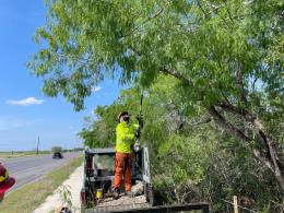 A worker stands on the bed of a truck holding a long tree cutting tool, trimming a branch.