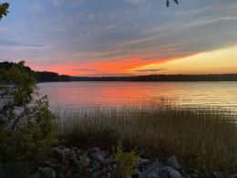 Sunset over a lake with orange clouds and reflections on water and submerged vegetation in the foreground.