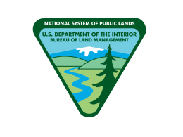 BLM logo