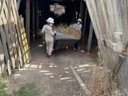 wo American Conservation Experience crew members, wearing hard hats and protective clothing, carry a tarp filled with tumbleweeds and debris out of a weathered wooden root cellar structure.