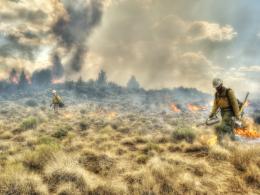 Firefighters walk through smoke and extinguish flames at the Lava Fire.