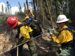 Four members of a fire crew manage a fire