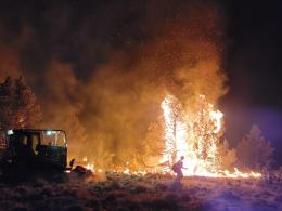 A wildland firefighter walks past a burning tree at night. 