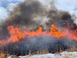 Fire burning tall tan grass with brown smoke flowing into the air
