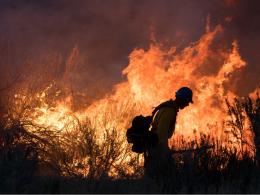 A wildland firefighter managing a fire with large orange flames