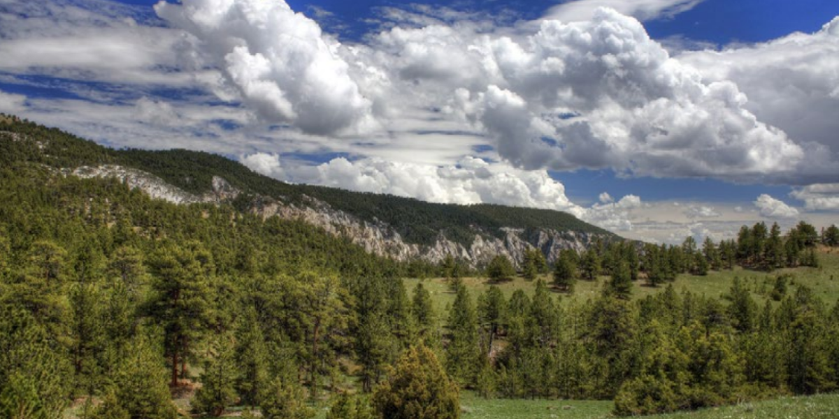 New Economic Development Report Offers Roadmap for Strengthening Community-Led Opportunities in Sustainable Forest Products and Outdoor Recreation in Forest Communities