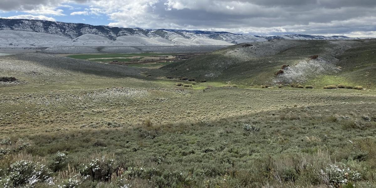 Saving Sagebrush: The Bipartisan Infrastructure Law and the Inflation Reduction Act Help Conserve the West