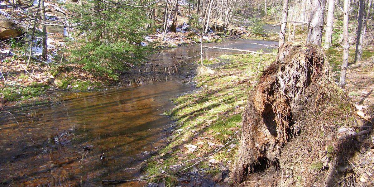 Biden-Harris Administration Announces More Than $140 Million to Address Legacy Pollution, Revitalize Communities in West Virginia