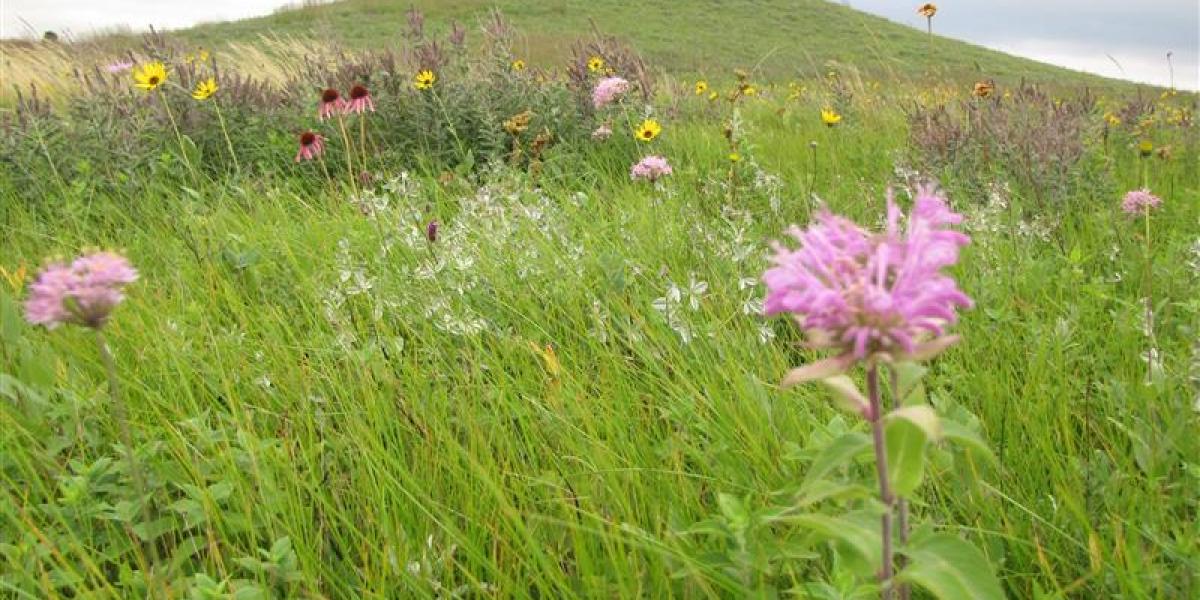 Department of the Interior Announces Completed Land Transfer from U.S. Fish and Wildlife Service for Spirit Lake Nation