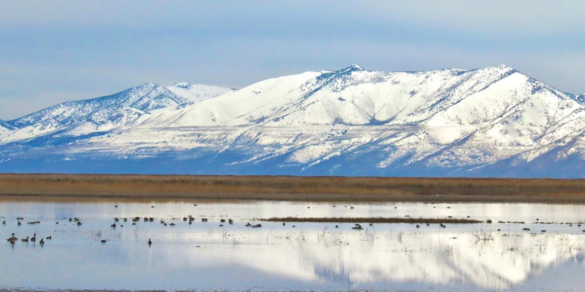 Interior Department Announces More Than $54 Million for Waterfowl Habitat, Increased Public Access on National Wildlife Refuges