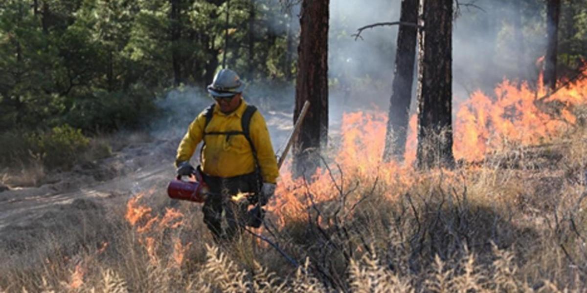 Department of the Interior Expands Training Pathway for Native Youth in Wildland Fire Careers