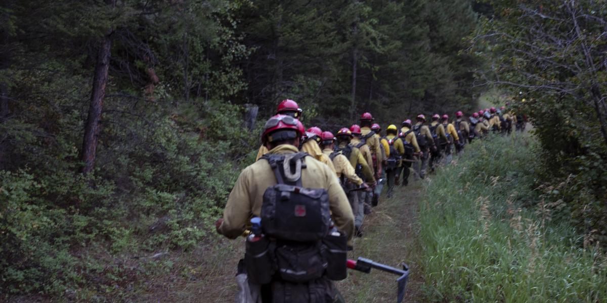 BidenHarris Administration Outlines Strategic Priorities to Support