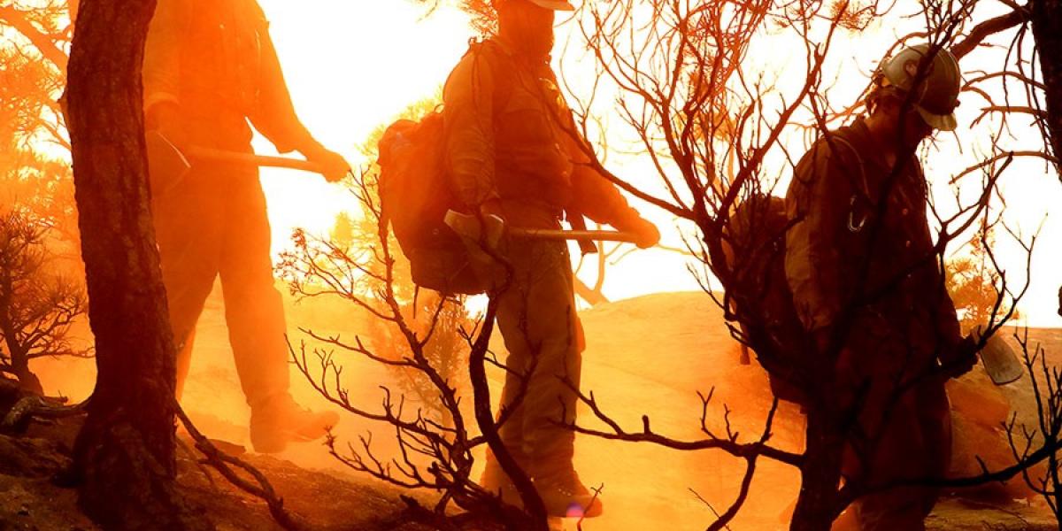 BidenHarris Wildland Fire Mitigation and Management Commission Charts