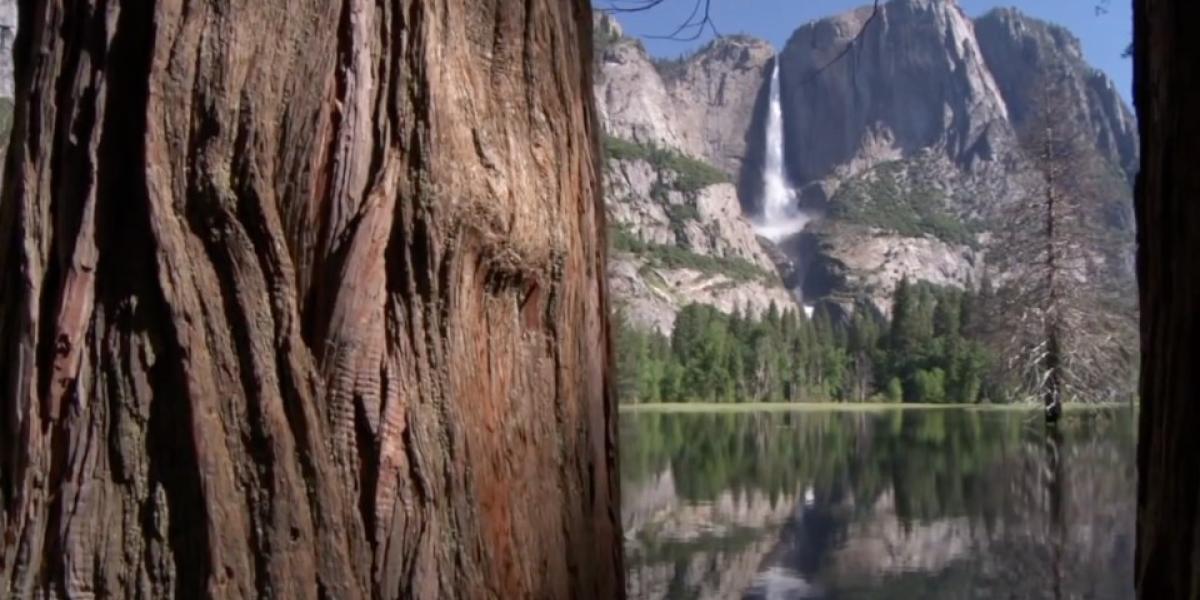 What is DOI | U.S. Department of the Interior