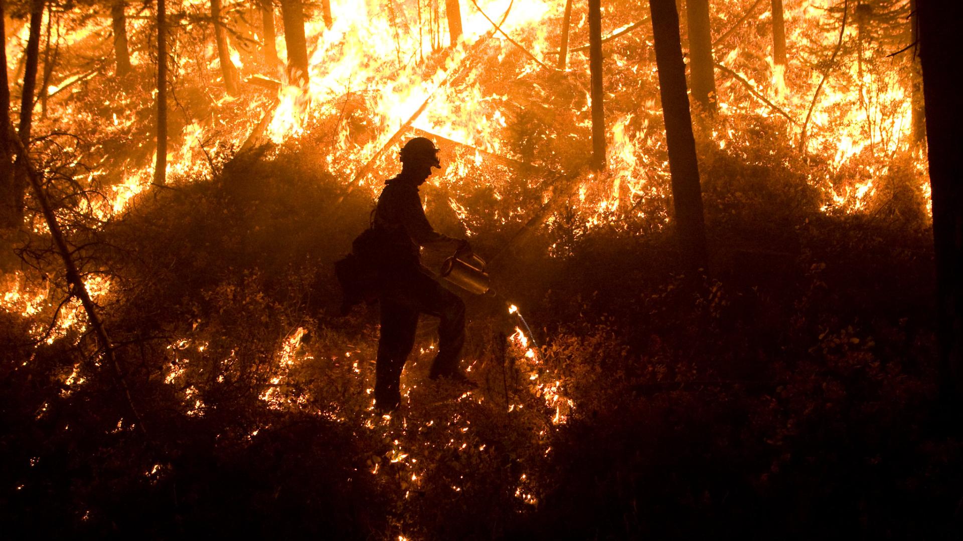 A firefighter lights small fires with a drip torch while walking through a burning forest at night