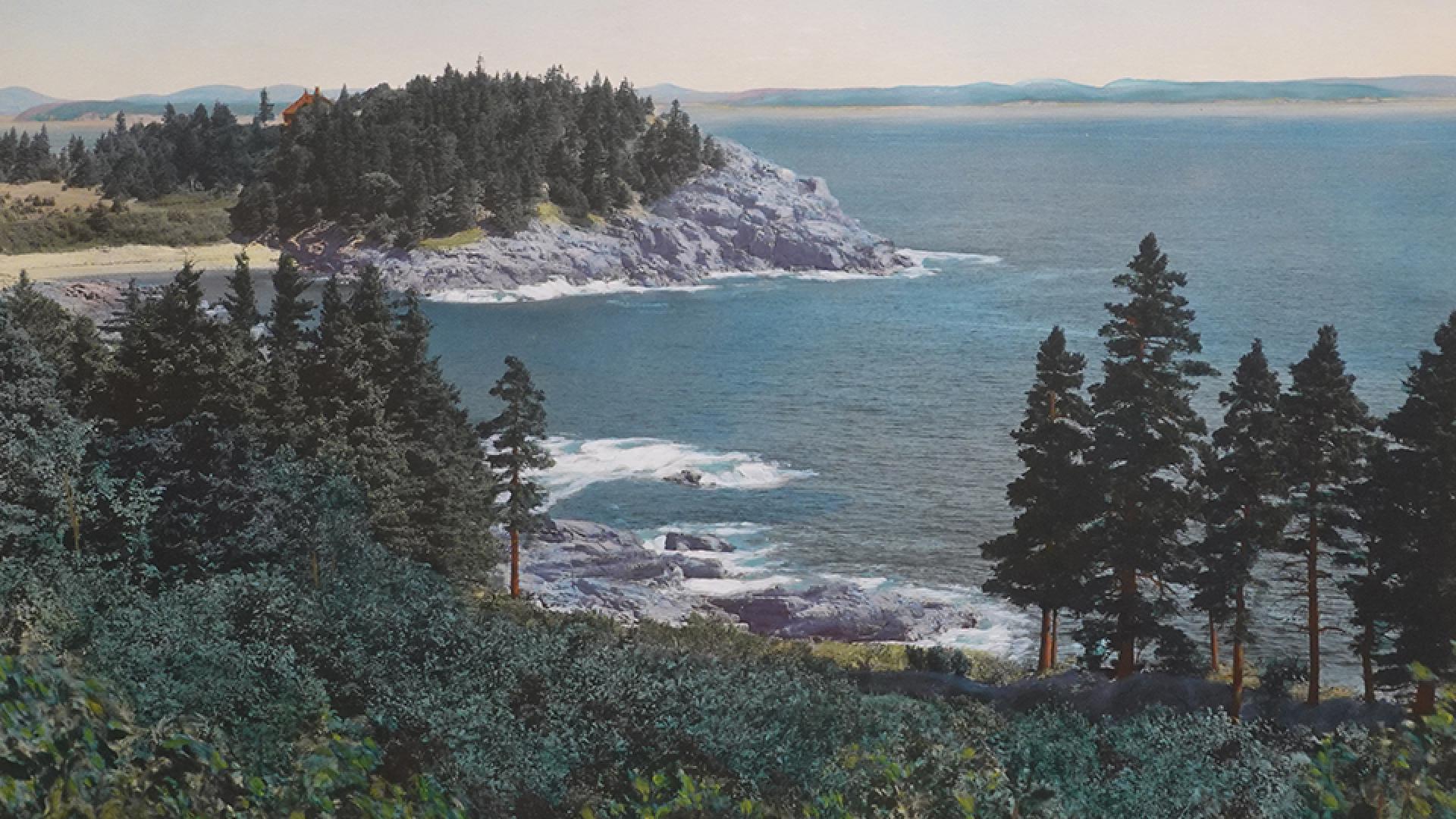 Hand-tinted photograph of Schooner Head peninsula at Acadia National Park, with trees and Atlantic Ocean.