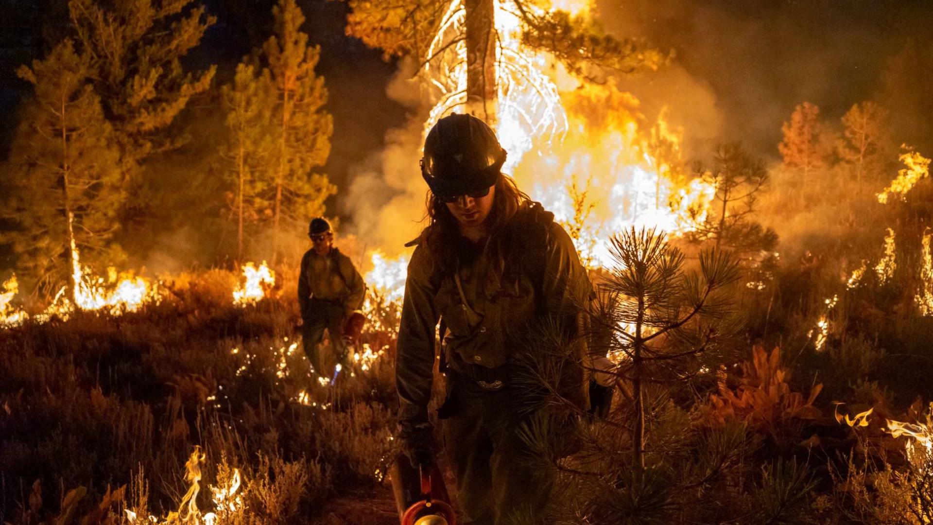 The BLM Ruby Mountain Interagency Hotshot Crew conducts burnout operations at night.
