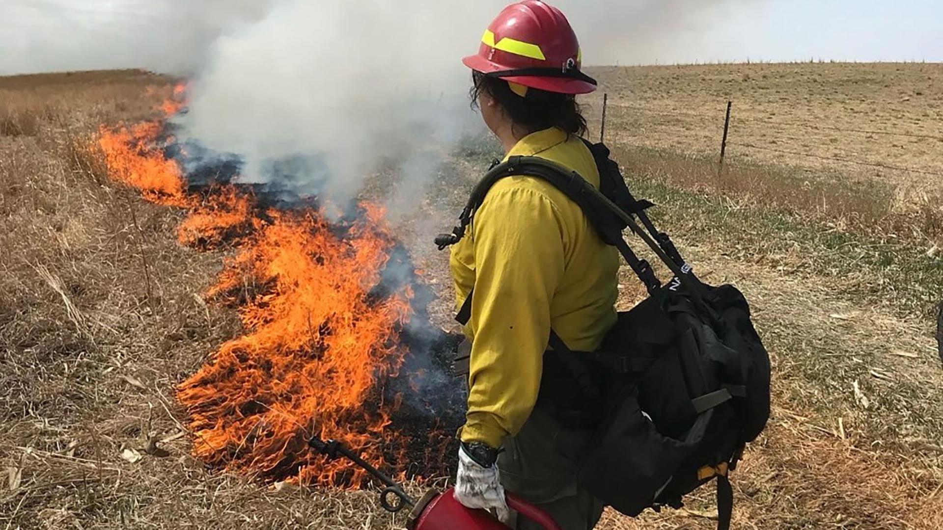 Saydee Marie Fujioka wearing wildland firefighter gear, holding a drip torch to implement a prescribed burn. 