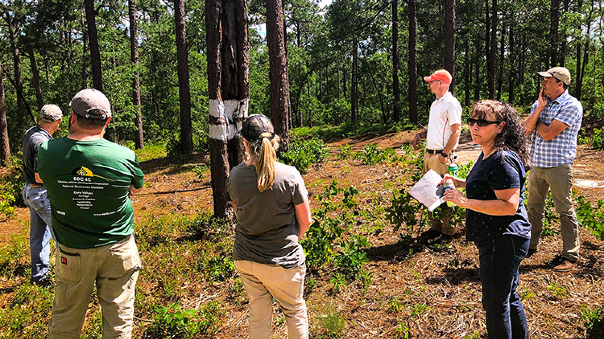 A duff workshop offered by the Southern Fire Exchange in 2019. Photo by David Godwin, the Southern Fire Exchange.