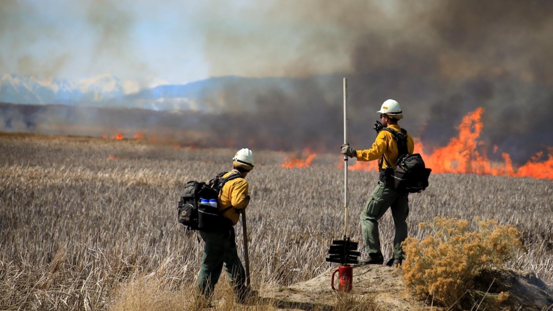 Two wildland firefighters from the Snake River Hotshots Crew stand on a small rise overlooking flames burning in tall, dried grass. Black smoke rises from the flames. The fire and smoke fade to the left, and snow-covered peaks are visible in the distance.