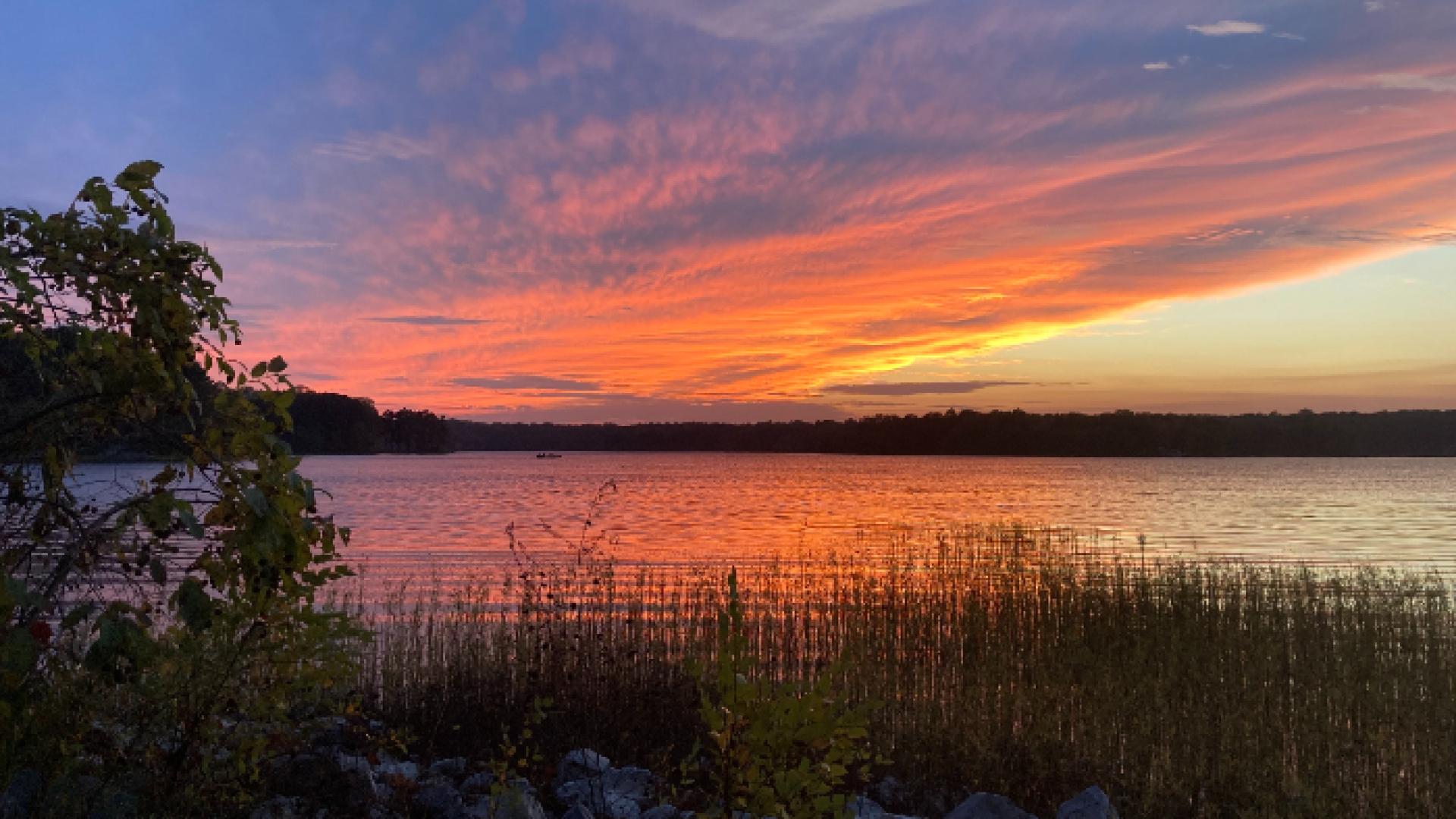 Orange sunset in cloudy sky reflected on body of water with plants and a tree in the foreground