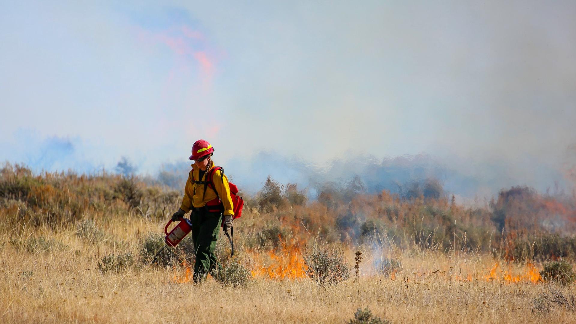 A female firefighter carries a drip torch as she puts small amounts of fire on the ground during a controlled burn. 