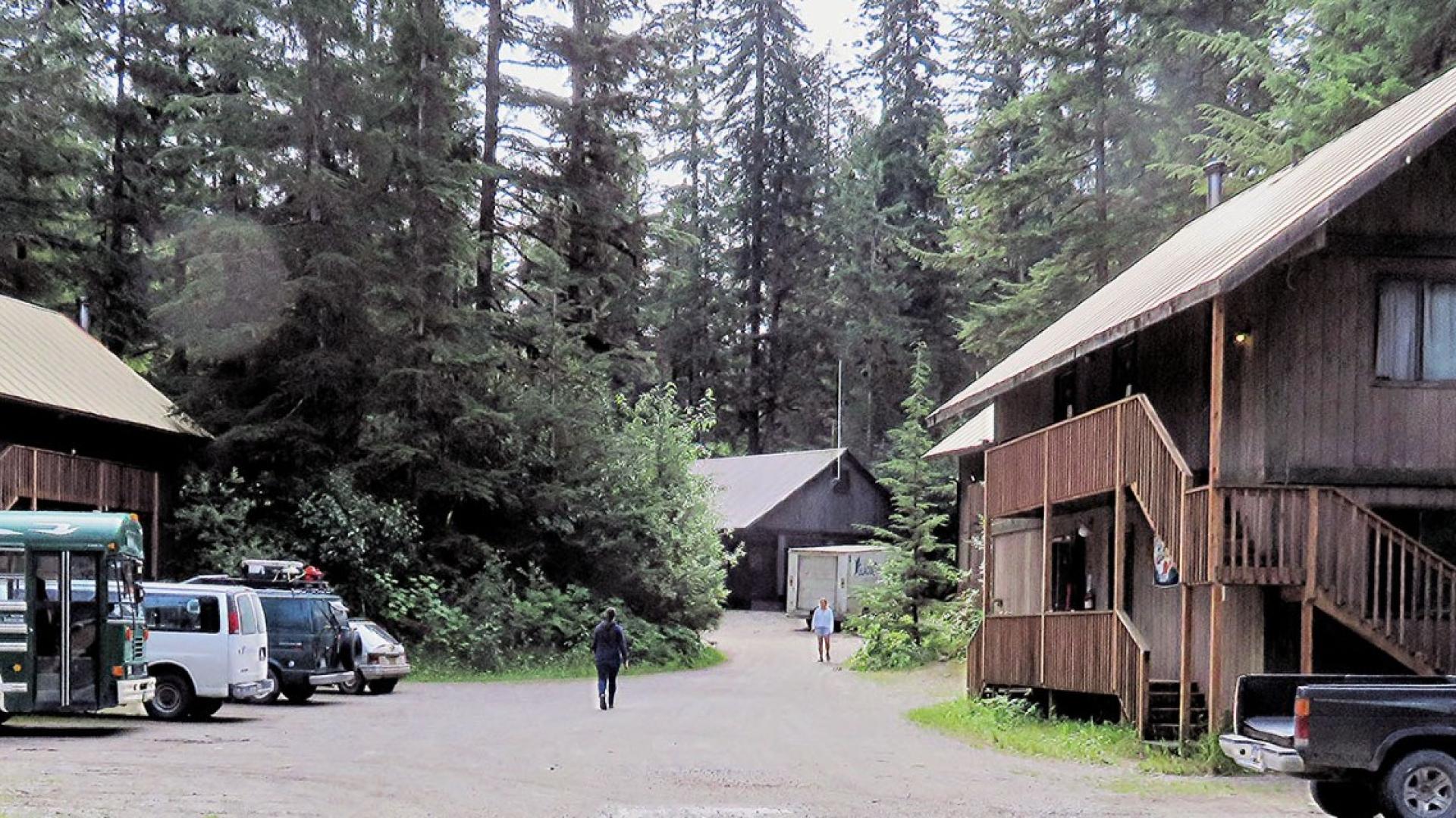 A dirt road leading to three wooden buildings and large pine trees in the distance. 
