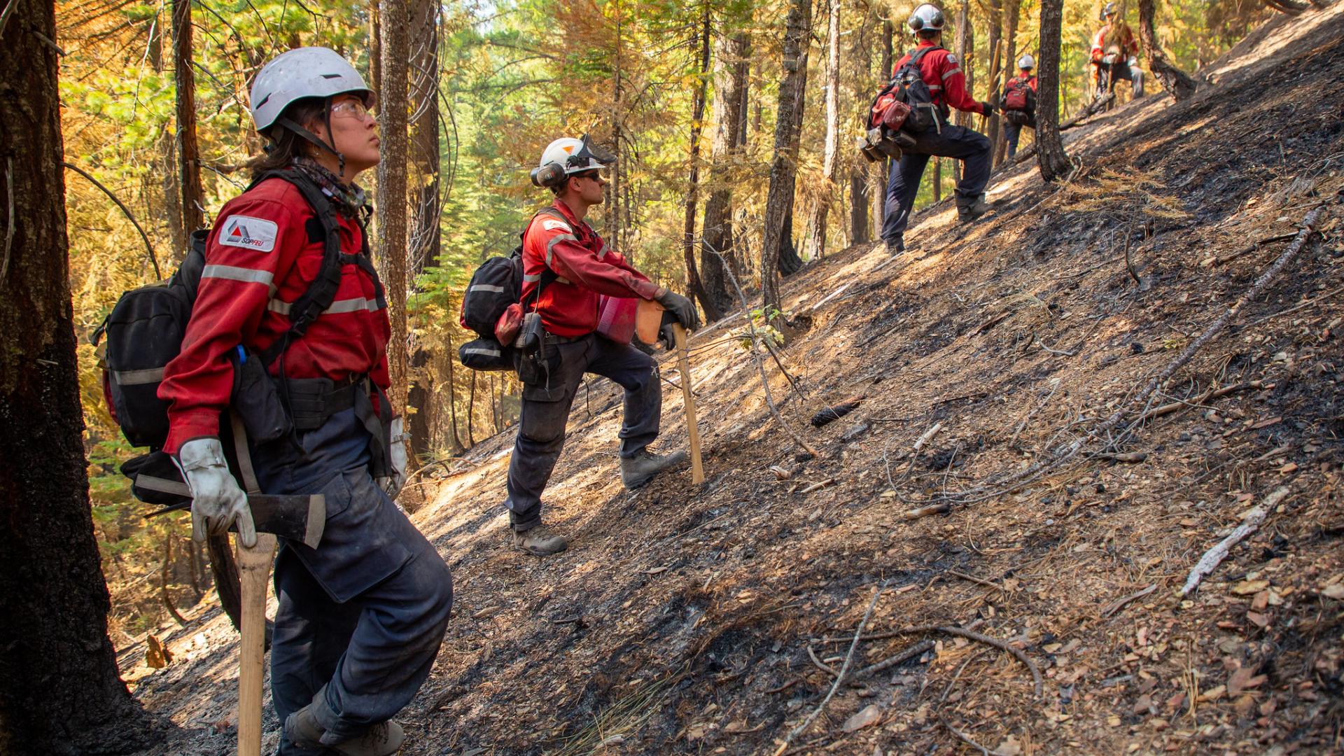 Firefighters stand on a burned slope on the North Complex Fire in California