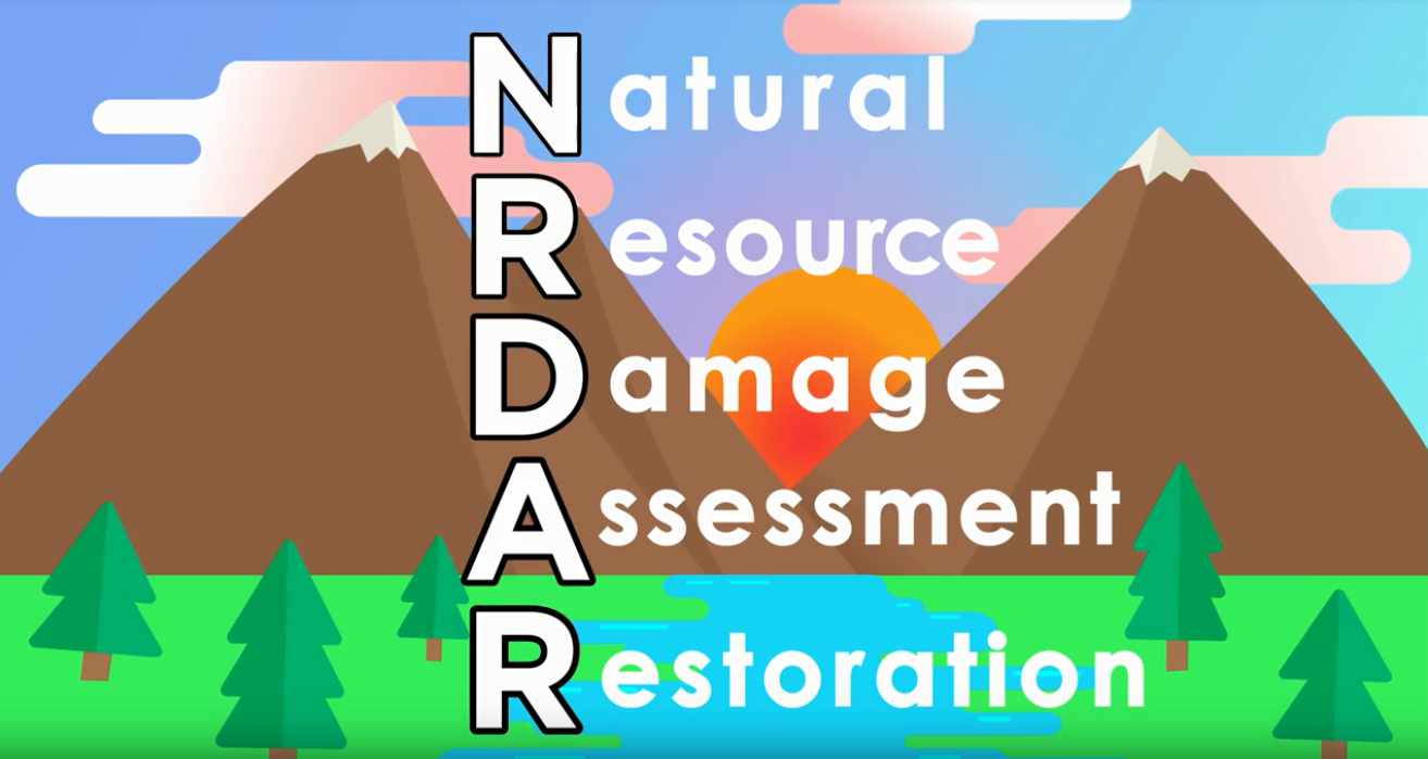 Screenshot of NRDAR 101 video