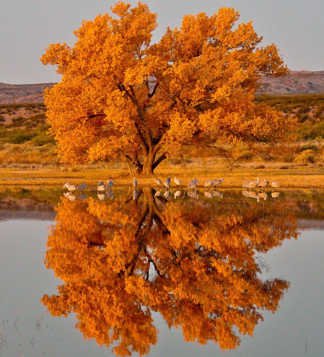 Fall in Love With Amazing Public Lands in Autumn