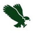 A green tile displaying an eagle with open wings