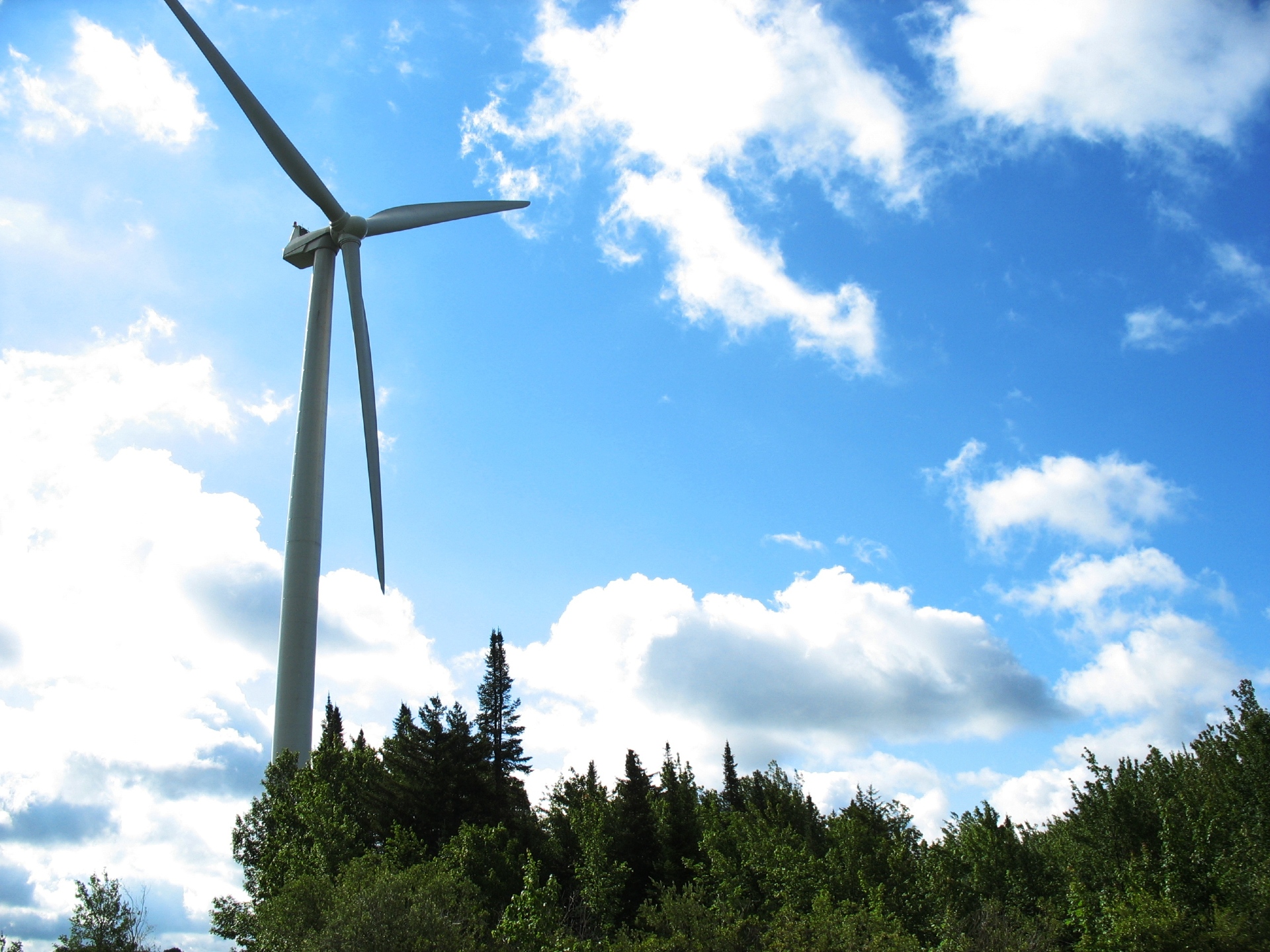 Wind turbine. Photo by Paul Cryan, U.S. Geological Survey.