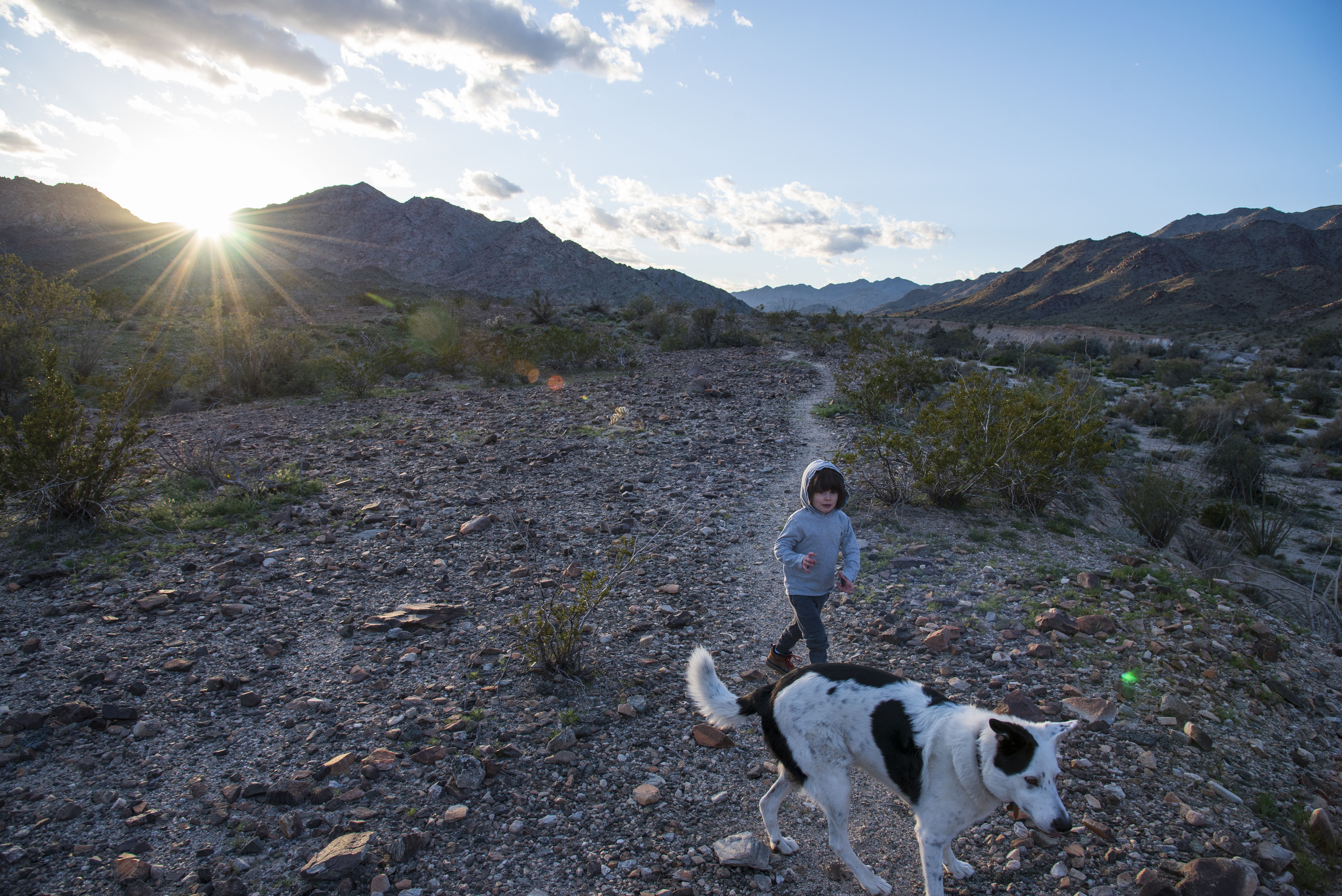 A child and a dog run through a path in through the Chuckwalla Mountains