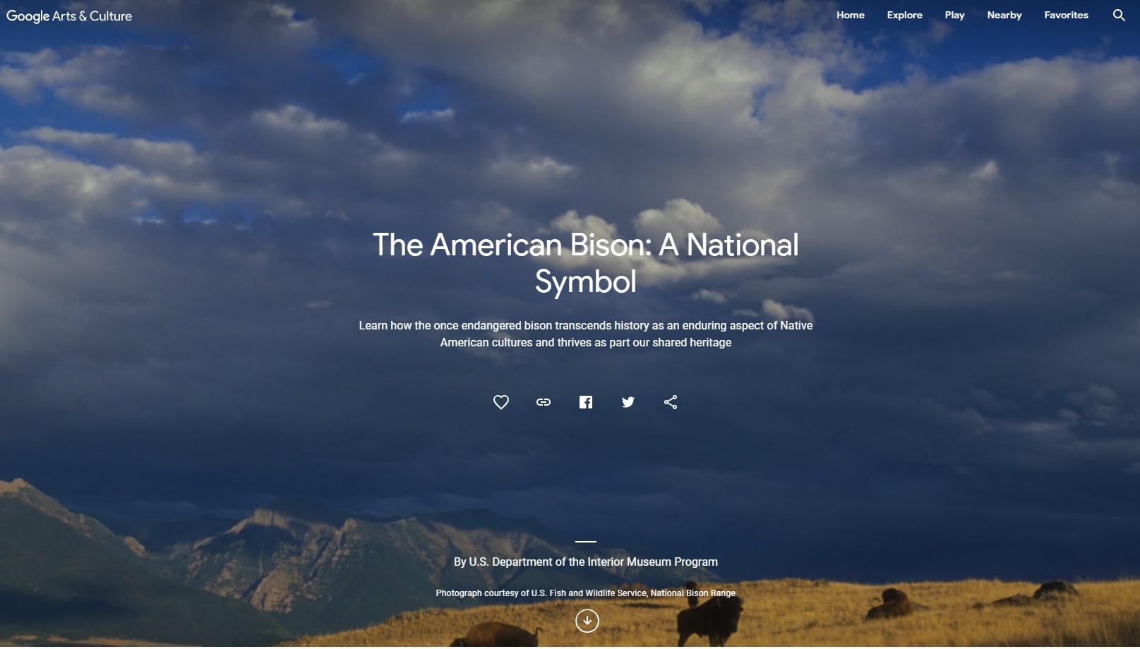 Screenshot of the Interior Museum Program's online exhibit "the American Bison: a National Symbol"