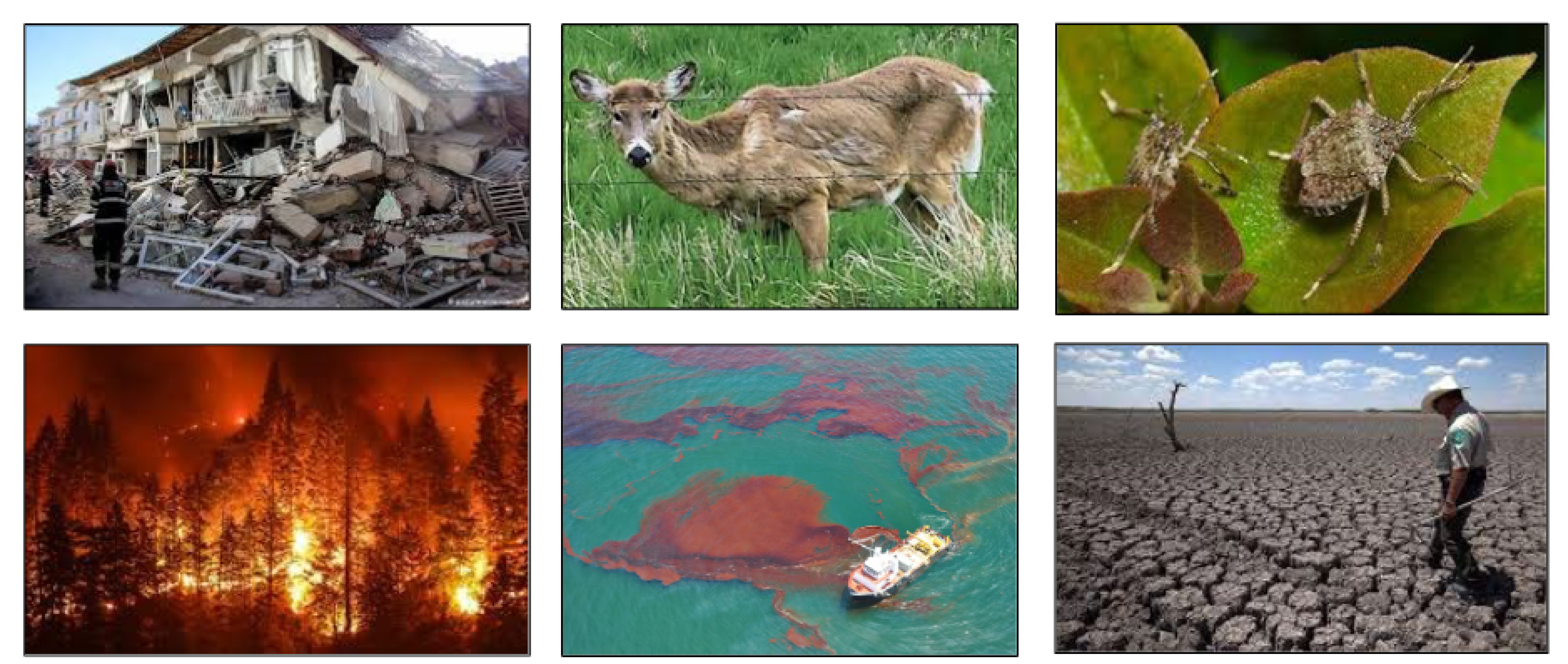 A photo collage of images representing natural and man-made hazards.