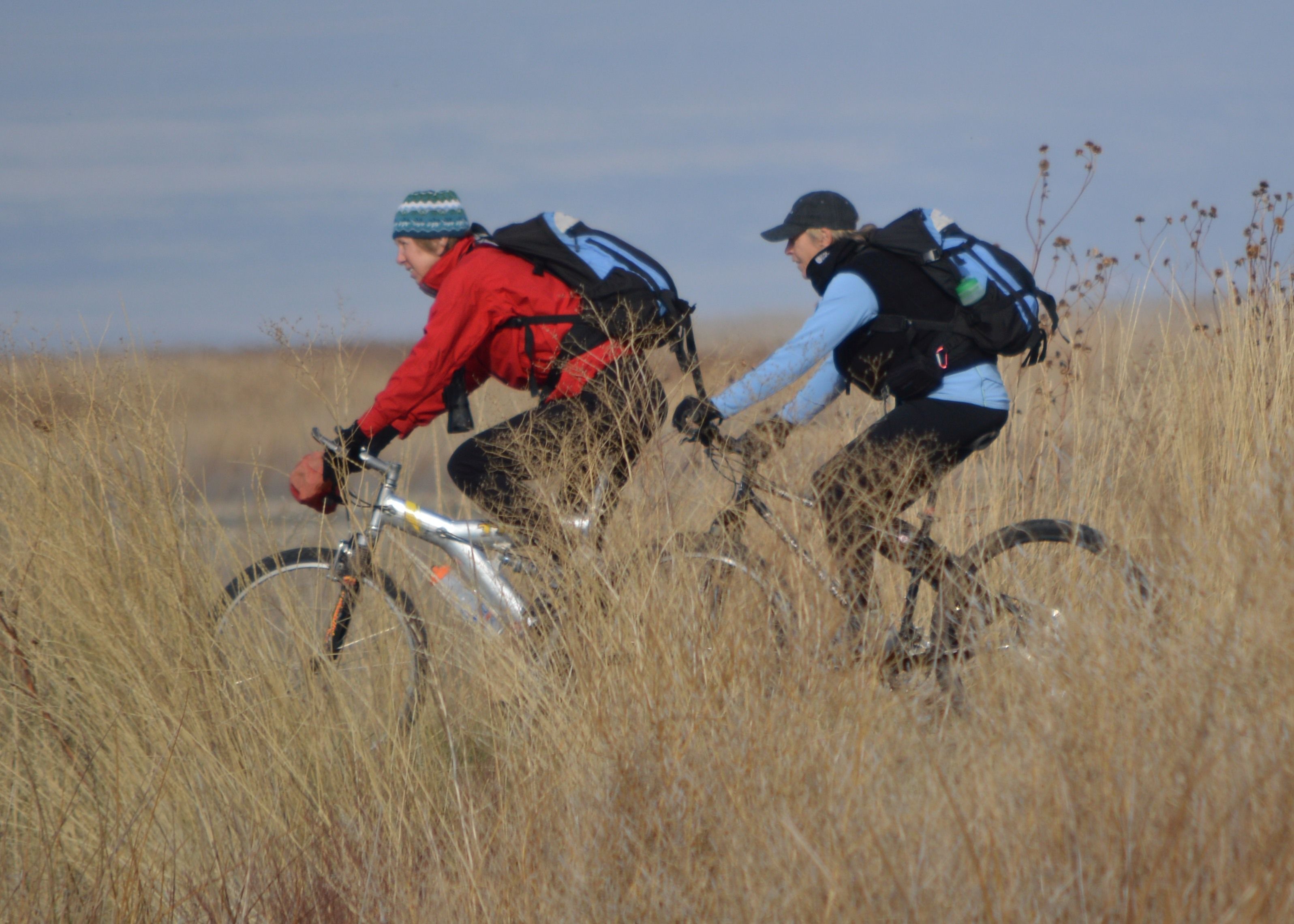 Two people in helmets ride bikes across a field with high grass.