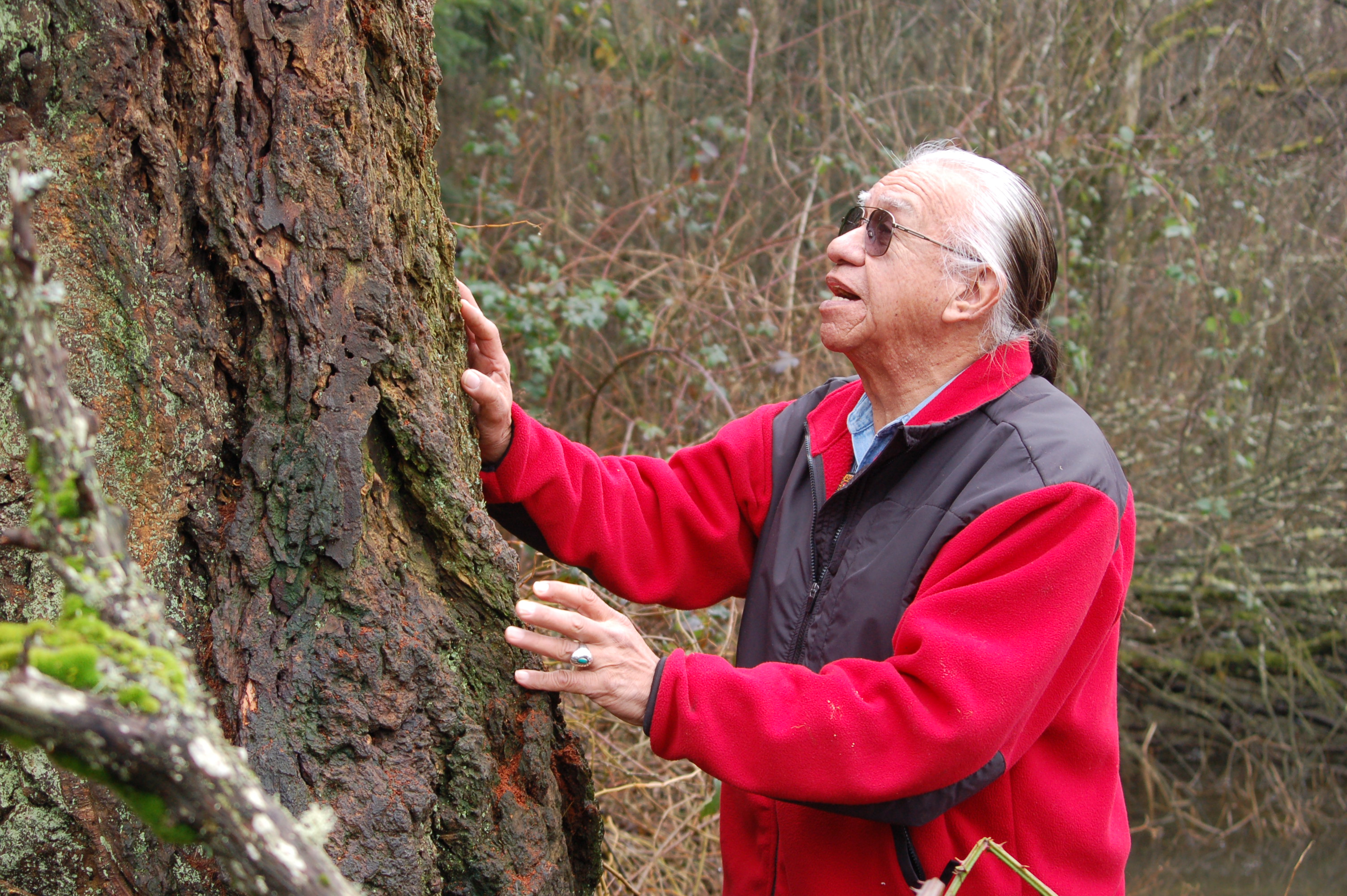 An older Native American man stands in a forest and touches a tree with both hands.