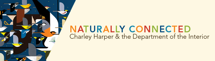 Banner with birds and text