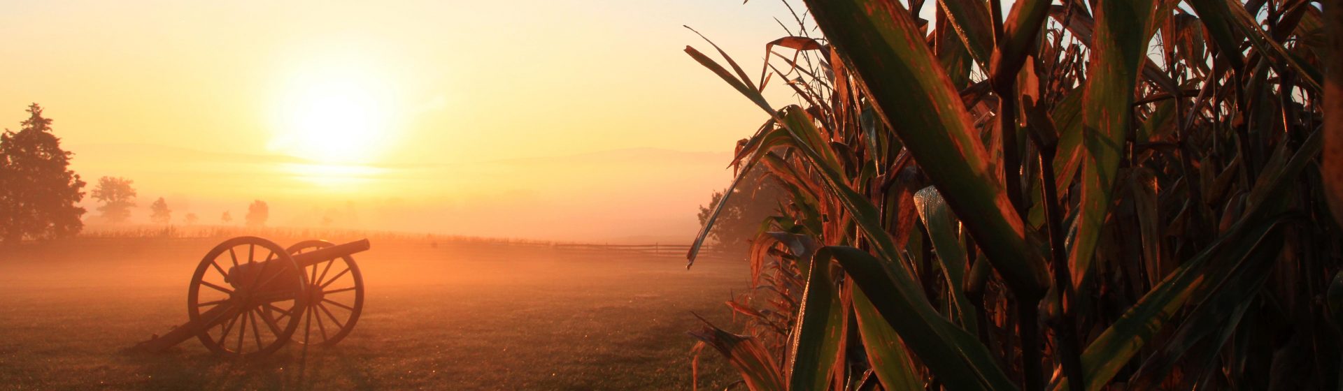 Cannon and a cornfield