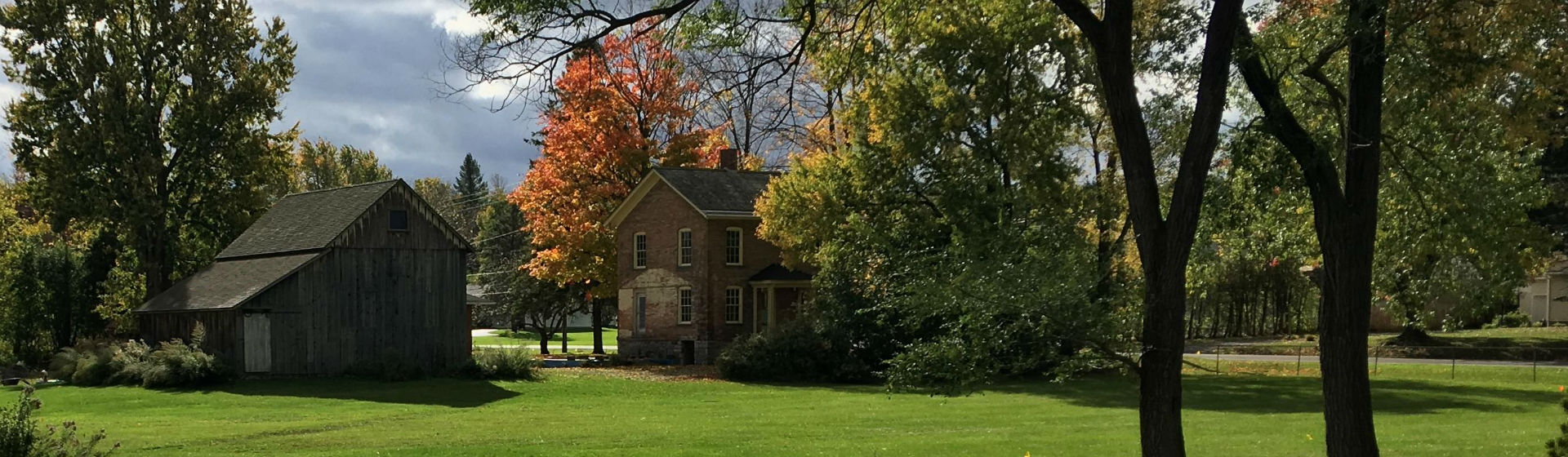 Buildings among trees