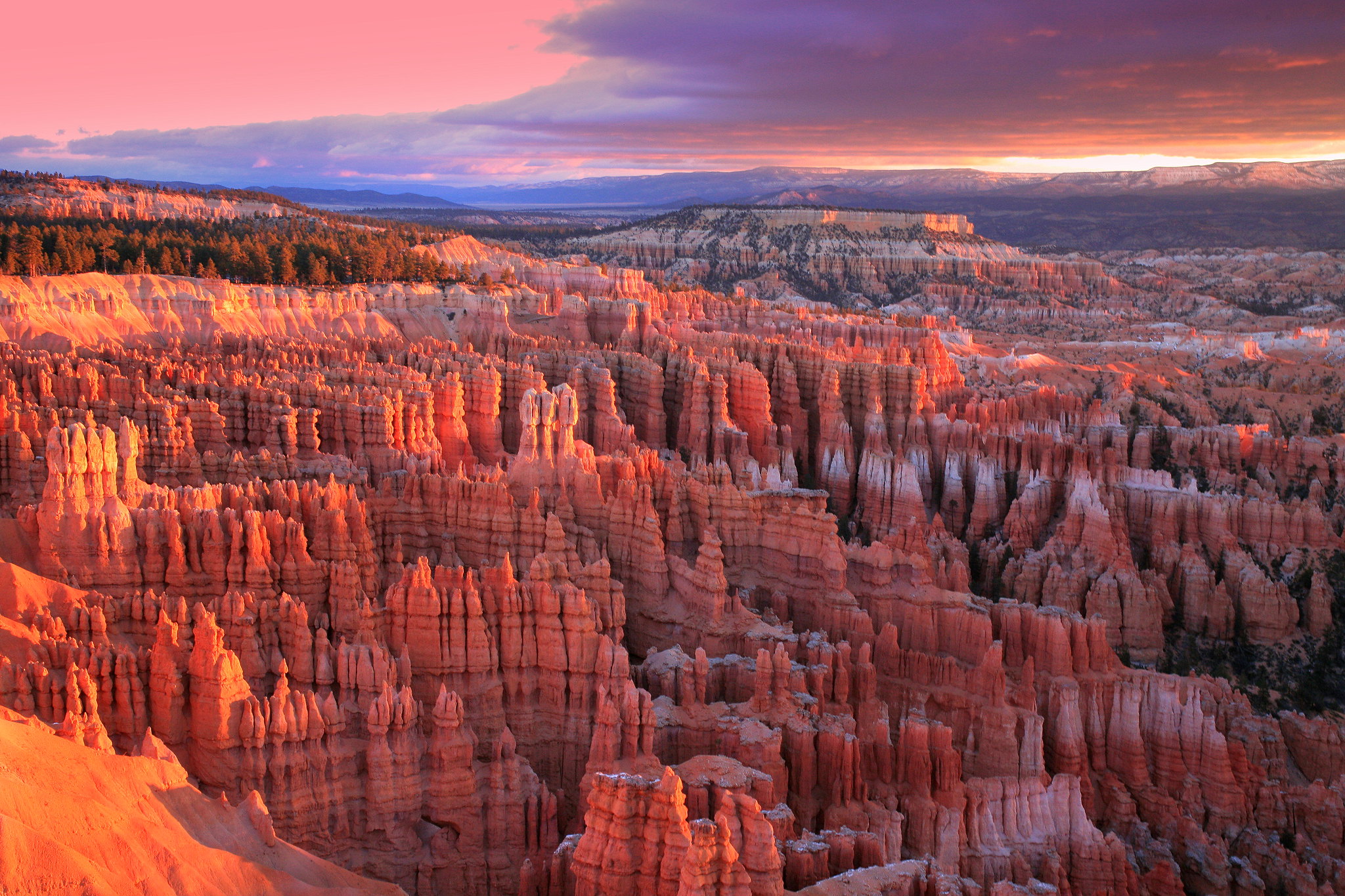 A landscape of orange rock formations standing in rows and clusters on a sloping hillside.