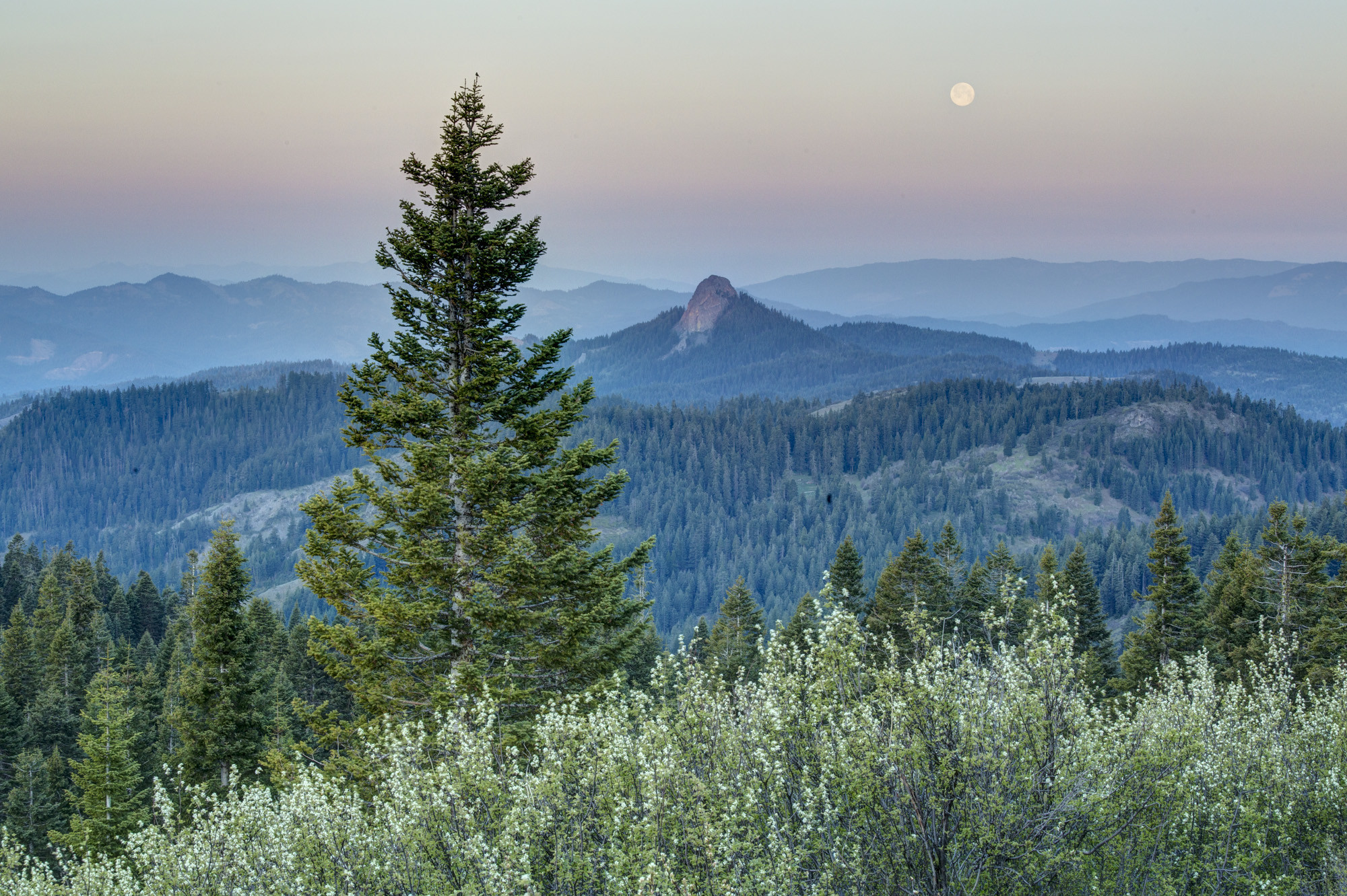 Several tree-covered mountain sets stretch off into the distance with a moon hanging overhead in the pink and orange sky