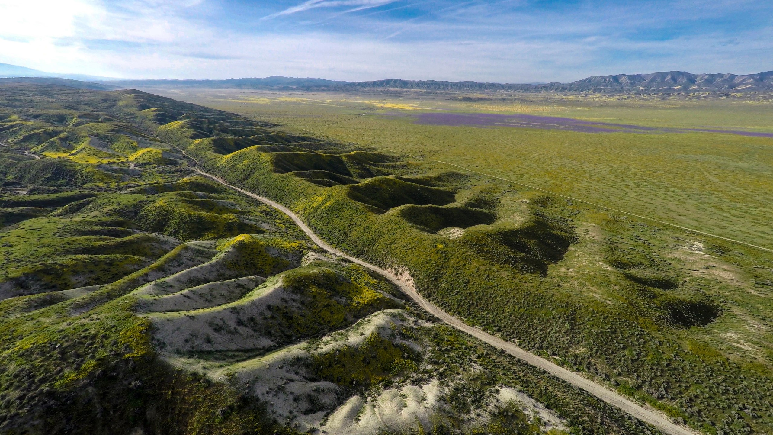 view of a fault line covered in vegetation and colorful flowers