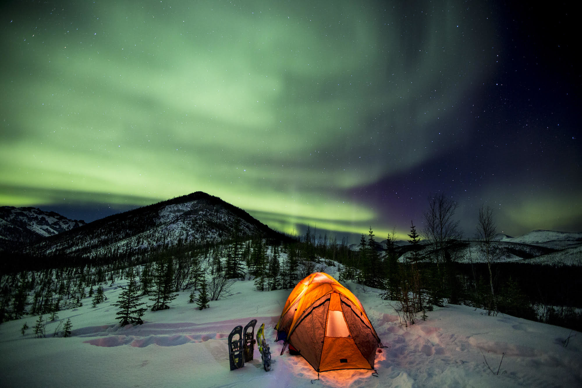 The northern lights look green in the sky over an orange tent